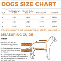 Équipement de protection pour animaux de compagnie, protège-jambes arrière pour chien, couverture de protection chirurgicale, support métallique auxiliaire, genouillère réglable pour chien