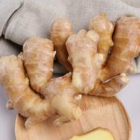 Tranches de gingembre frais biologiques AD, gingembre frais en gros, matière première pure