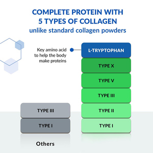 OEM/ODM High <b>Protein</b> Muscle & Tendon Support Skin elasticity & firmness low Calorie low fat multi collagen peptide powder - Product Image 5