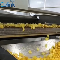 Machine à frire les aliments commerciaux à bande transporteuse pour la transformation des chips de pommes de terre, bananes et arachides