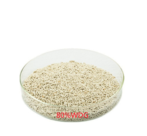 Agriculture <strong>Herbicides</strong> Nicosulfuron 5%WDG+Atrazine 75%WDG Double Removal Wide,Broad Plants, Internal Absorption And Conduction - Product Image 1