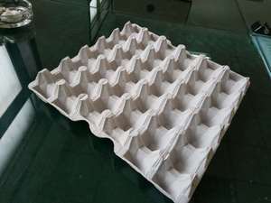 Máy làm sản phẩm giấy bột giấy - Product Image 6