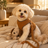 Harnais, collier, laisse et sac à déjections pour chien en polaire et cuir, ensemble réglable, motif écossais, ceinture de sécurité pour chien, laisse pour chien, accessoires hivernaux confortables pour chien S-L