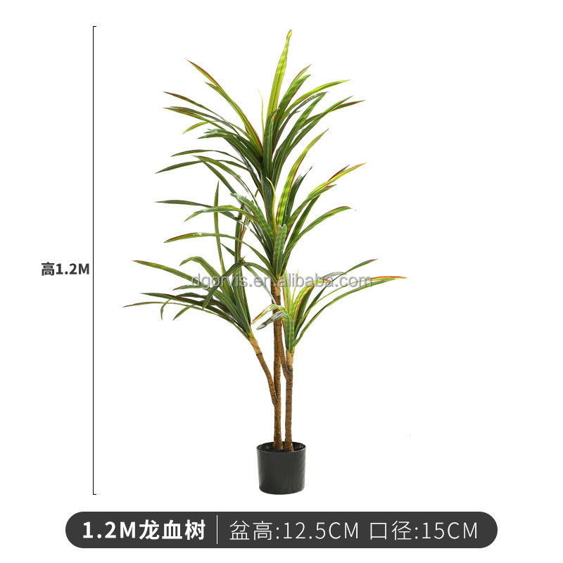 120cm