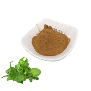 Raw Material Water Soluble Dry Herbs Honey Plant Leaves Dried Lemon Balm Leaf Extract Powder