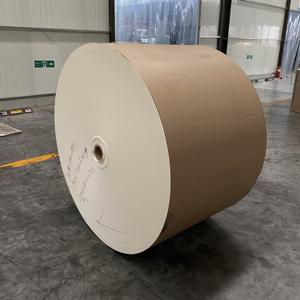 Rollos de Papel Desechables Ecológicos de 190 g/m² con Recubrimiento de 18PE para Vasos - Product Image 5