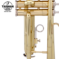 Wholesale TAISHAN TSTR-801 Brass Trumpet with Excellent Quality Beginner-Friendly Gold Lacquer Surface BB Tone Nice Price