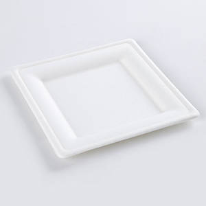 <span class=keywords><strong>Assiette</strong></span> carrée <span class=keywords><strong>jetable</strong></span> de haute qualité de 10 pouces plateau à gâteau cartons de bonne qualité sucre bagasse boîte à lunch <span class=keywords><strong>jetable</strong></span> - Product Image 2