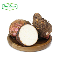 Racine de Taro Fraîche - Taro Nutritif et Délicieux pour la Cuisine et la Pâtisserie