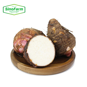 Rễ khoai môn Hữu Cơ tươi-Khoai Môn bổ dưỡng và ngon miệng để nấu ăn và nướng - Product Image 5