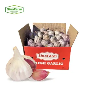 Import Chinese Garlic Jining Garlic Direct Supplier 3p 4p 5p Mesh Bag Packed