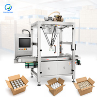 Máquina Empacadora de Cartones Automática OCEAN, Sistema de Empaque en Cajas para Botellas de Agua Mineral