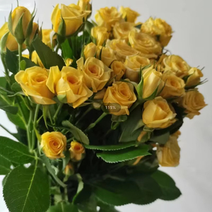 Vente en gros de petites roses en soie faites à la main multi-têtes Shandong lot direct décrochage de mariage noël saint valentin graduation <span class=keywords><strong>Halloween</strong></span> - Product Image 2