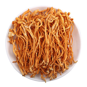 Harga Grosir Bubuk Ekstrak Bunga Jamur Cordyceps Mycelium Militaris Organik Liar Beku Kering dalam Jumlah Besar - Product Image 4