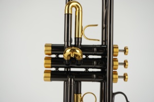 Trompeta Profesional de Alta Calidad en Sib, Niquelada en Negro con Llaves Doradas, con Tornillo de Bloqueo del Deslizador, Instrumento de Viento con Accesorios - Product Image 5