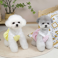 Dernier printemps été robe en dentelle pour chien de compagnie confortable style de loisirs motif solide vêtements pour chien adorable