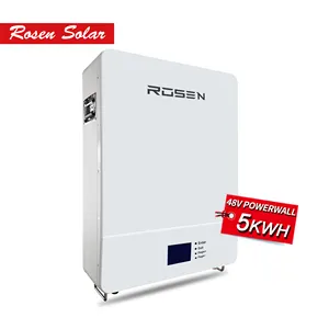Rosen Solar Lithium Speicher batterie 48V 100AH Lifepo4 48V Power Wand