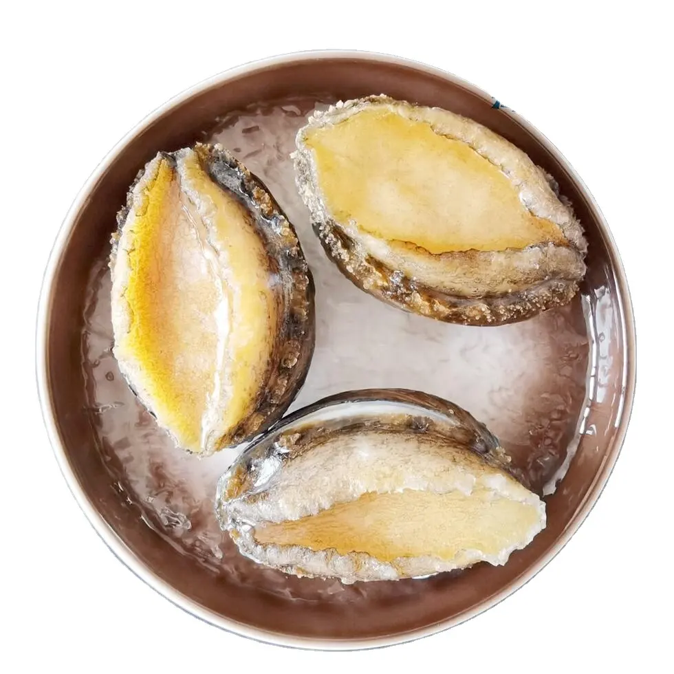 Fabrik Großhandel Chinesisches Produkt Köstliche Meeres früchte Schalentiere Abalone Zum Verkauf