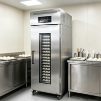 Armoire de fermentation réfrigérée à 36 plateaux, porte simple, avec contrôle numérique pour boulangerie