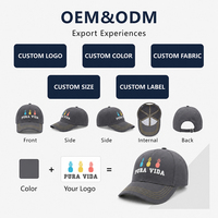 OEM ODM Groothandel Stijlvolle Petten Heren Verstelbaar Ademend 6 Panelen Volledig Gebogen Klep Geprint Aangepast Ontwerp Logo Baseball Cap