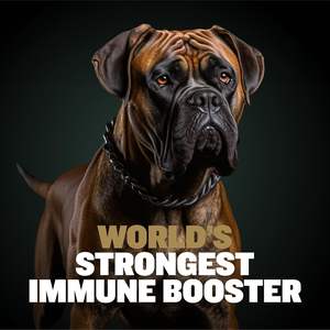 OEM/ODM 11 en 1 Muscle Gain Power Chews Suplemento para perros de alta proteína Aminoácidos Golosinas saludables para cachorros Perros adultos - Product Image 4