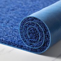Rouleaux de tapis en PVC antidérapant, tapis anti-poussière pour sols