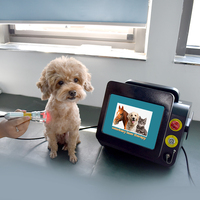 Appareils portables de soulagement de la douleur, équipement de physiothérapie thérapeutique pour animaux, appareil à ultrasons pour la physiothérapie, utilisation pour les animaux de compagnie