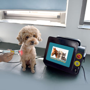 Dispositivos Portátiles para el Alivio del Dolor, Equipo de Fisioterapia Terapéutica Animal, Máquina de Ultrasonido para Terapia Física en Mascotas - Product Image 2