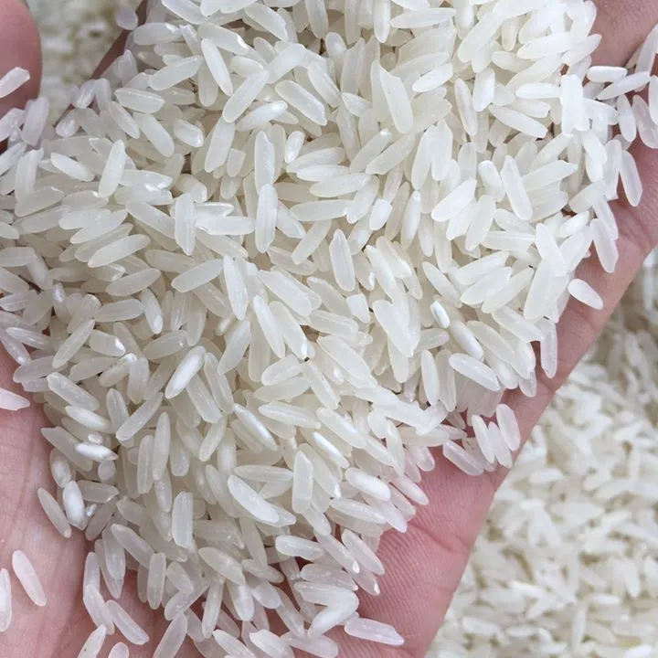 शीर्ष निर्यात उच्च गुणवत्ता सबसे अच्छा वियतनाम सफेद लंबी अनाज चावल चावल सुगंधित चावल 5% RIZ ए. यू. बेला-Arroz whatsap 0084 989 322 607
