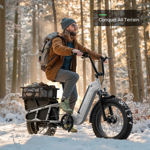 Zerogo Fashion K008 nouvelle usine personnaliser famille Double batterie longue queue gros pneu <span class=keywords><strong>Cargo</strong></span> Bike 500w Ebike Fatbike <span class=keywords><strong>Cargo</strong></span> - Product Image 4