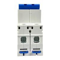 Disjoncteur miniature AC Chint 2P 6A original disponible en gros – Disjoncteurs bipolaires Nxb-63 3 ampères