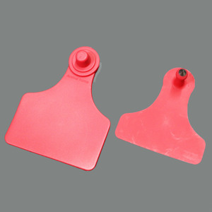 Étiquette d'oreille électronique animale faite sur commande d'impression de longue portée de couleur pour la gestion d'animaux de ferme - Product Image 4