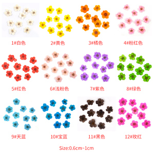 Low Moq Bulk Bundle Miniature Wild Natural Dried Herbs and Flowers for Nail Art Deco Resin Epoxy Wax Seals Candles Making - Product Image 6
