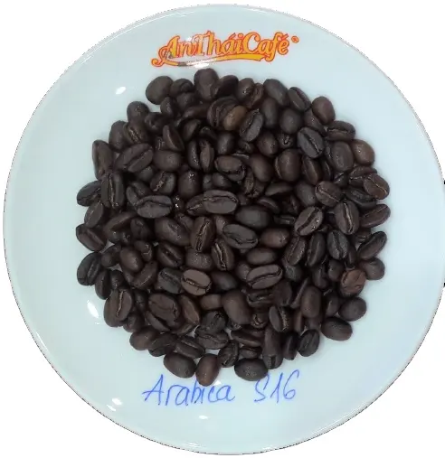 An Thai Premium Roasted Arabica Coffee Beans Ar6 (screen #16) and Ar7 (screen #18) for espresso machine