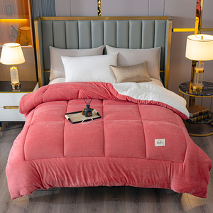 Couette en velours de lait unie, anti-boulochage, anti-statique, ultra chaude et confortable, <span class=keywords><strong>pour</strong></span> la vente en gros. - Product Image 4