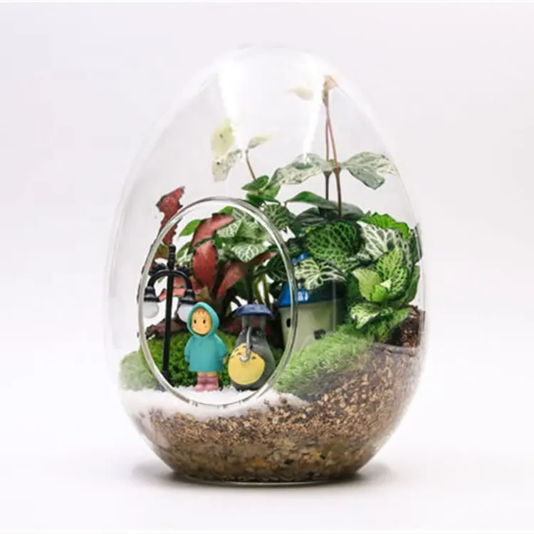 Terrarium แก้วรูปไข่ขายส่งตกแต่งบ้านหัตถกรรมพืช Terrarium Handblown โมเดิร์นกระจก Terrarium