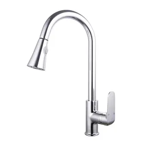 Chrome Pull Out 2fuction Spray Faucet for Kitchen Sink Kitchen Mixer Tap Kitchen Brass Nanan Supplier High Quality Home CLASSIC