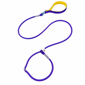 Laisse de dressage pour chien robuste, type martingale, anti-traction, en corde d'escalade tressée, avec glissière en cuir réglable et poignée confortable - Product Image 1