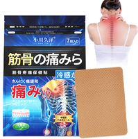Pansement Corporel Poré de Médecine Traditionnelle Chinoise, Adhésif Médical Perforé Certifié IOS de Haute Qualité pour le Rhumatisme