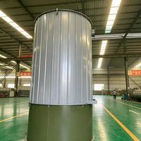 Caldera de aceite térmico de baja presión de circulación natural horizontal OEM/ODM para biomasa, pellets, astillas de madera y carbón, con construcción de acero al carbono
