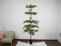 Neues Design Olivenbaum 165 cm Grüne Baumdekoration Künstliche Grünpflanze von Herstellern
