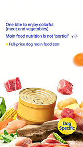 Comida para Perros Completa y Nutritiva de Primera Calidad OEM, Sabor a Pollo y Cartílago, 85g, Sin Granos, Comida Húmeda para Mascotas, Venta de Fábrica - Product Image 4