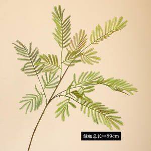Simulation Mimosa <span class=keywords><strong>Pudica</strong></span> <span class=keywords><strong>Plante</strong></span> Artificielle Feuillage Plastique Sensible <span class=keywords><strong>Plante</strong></span> Feuilles pour Arrangement de Fleurs Décoration Intérieure Feuille Verte - Product Image 6