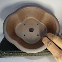 Pot à bonsaï en forme de prune, classique, sculpté à la main, écologique, best-seller, pour la maison et le jardin