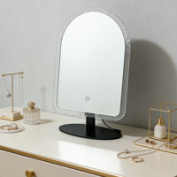 Miroir LED en acrylique Popsicle 36x50cm, miroir de maquillage éclairé à bord texturé, miroir de maquillage à commande tactile avec support en fer