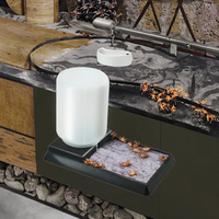 Abreuvoir automatique anti-noyade pour insectes, distributeur d'eau en plastique pour grillons, blattes Dubia, élevage de reptiles, toutes saisons