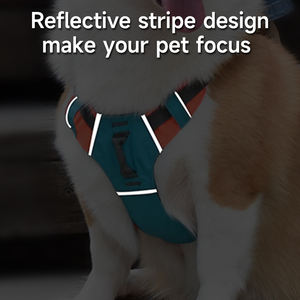 Set Tali Kekang Anjing Retraktil KINYU Tanpa Tarik, Bahan Nylon dengan Kunci Otomatis, Pola Cetak Sederhana, Pita Ramah Lingkungan, Ukuran M/L/XL - Product Image 4