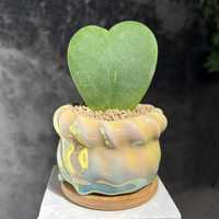 Pot de fleurs pour plantes succulentes, respirant, résistant à la corrosion, modulaire, minimaliste, effet illusion, couleur éblouissante, céramique électro-plaquée