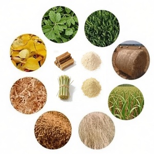 Nuevo Producto: Molino <span class=keywords><strong>de</strong></span> Polvo <span class=keywords><strong>de</strong></span> Madera con Motor/Engranaje Eléctrico en Venta - Product Image 6