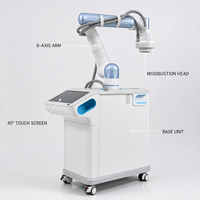 Robot d'AI pour la Moxibustion : Machine Automatique Intégrée pour le Centre de Bien-être